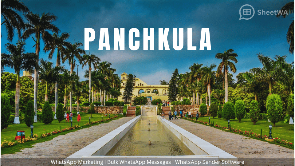 WhatsApp-Marketing-Panchkula